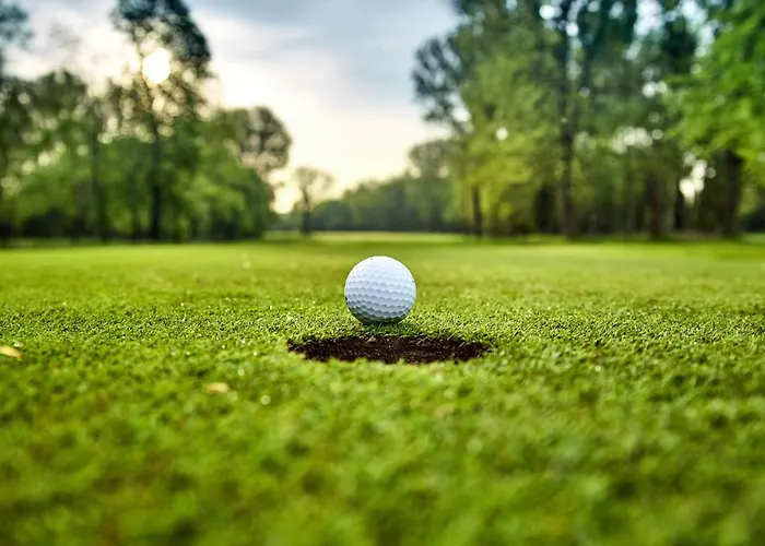 Apartament Green Village Paczoltowice